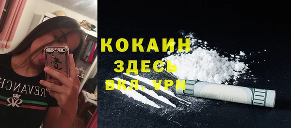 сатива Алагир