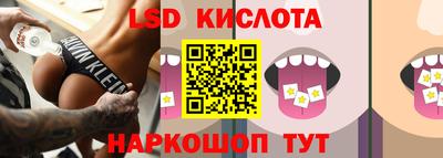 дмт Будённовск