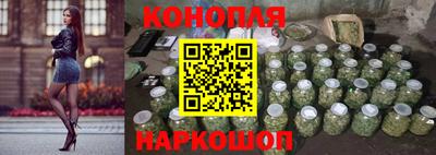 сатива Краснокаменск
