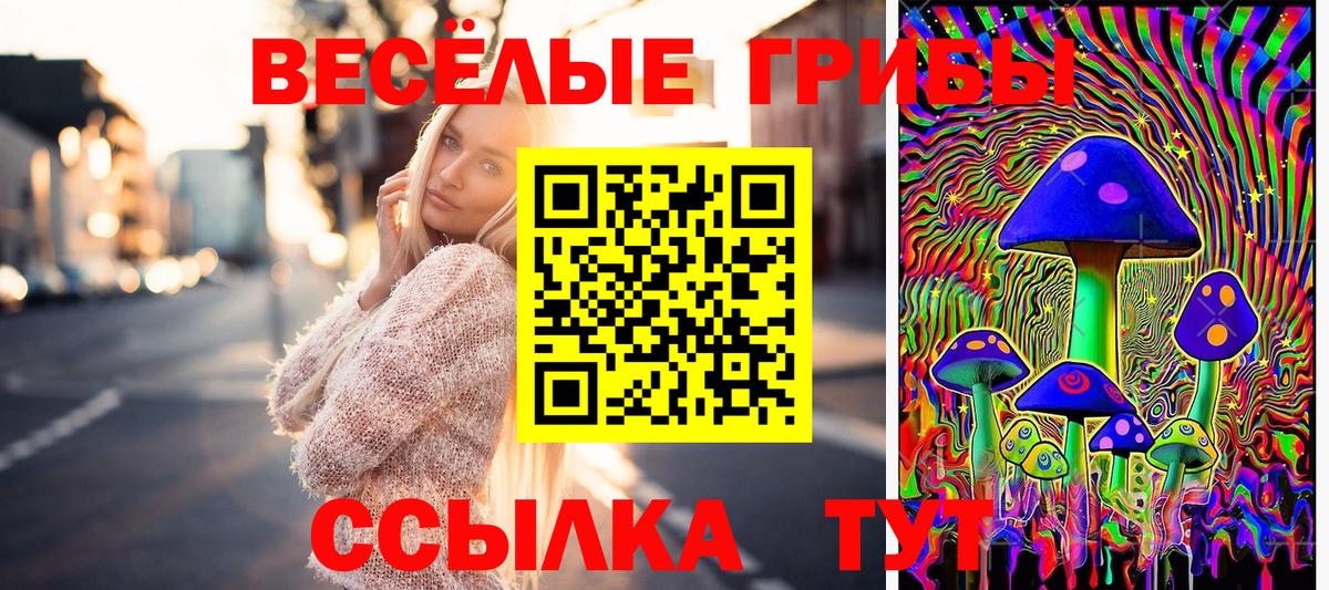 Псилоцибиновые грибы Magic Shrooms  Ярославль 