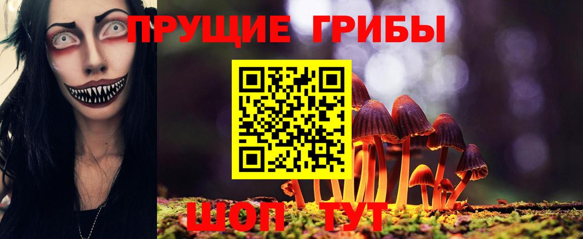 Псилоцибиновые грибы ЛСД Ярославль